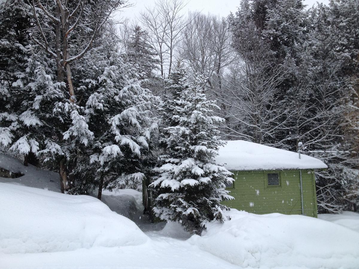 The Woods Lodge Northfield Экстерьер фото
