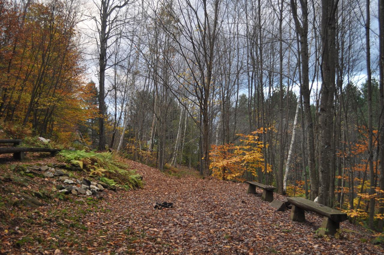 The Woods Lodge Northfield Экстерьер фото